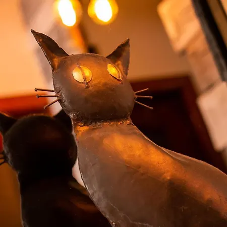 Dom wakacyjny Alba Regia Catarthome - Private Pool *