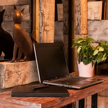Cat Art Home Costa Adeje - Near Siam Park - Private Heated Pool