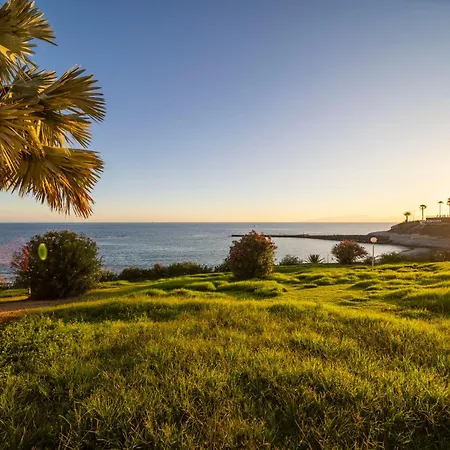 Vakantiehuis Cat Art Home Costa Adeje - 3 Bedroom - Near Siam Park - Private Pool